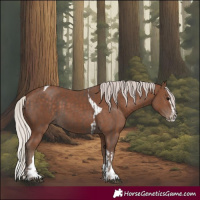Horse Color:Silver Black and Silver Black Splash Tobiano