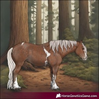 Horse Color:Silver Black and Silver Black Splash Tobiano