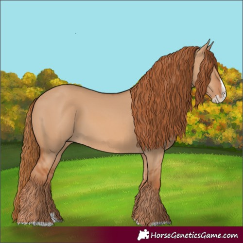 Horse Color:Red Dun Splash 