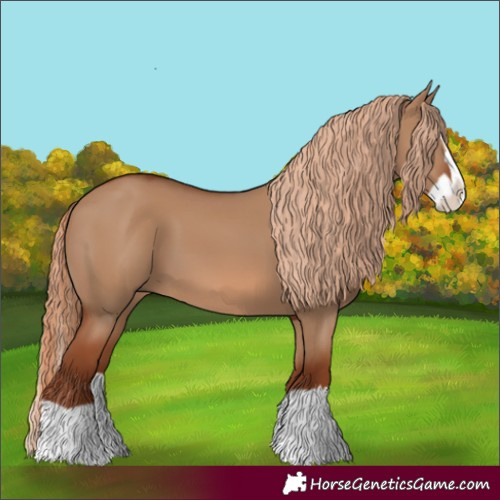 Horse Color:Red Dun Splash 