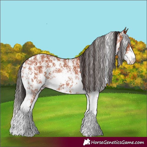 Horse Color:Bay Sabino Rabicano and Bay Sabino Rabicano