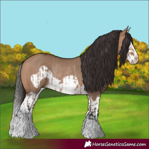 Horse Color:Bay Dun Splash Frame Rabicano  and Bay Dun Splash Frame Rabicano 