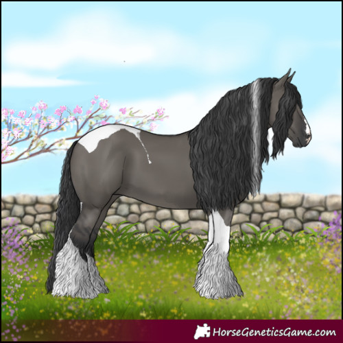 Horse Color:Grullo Tobiano 