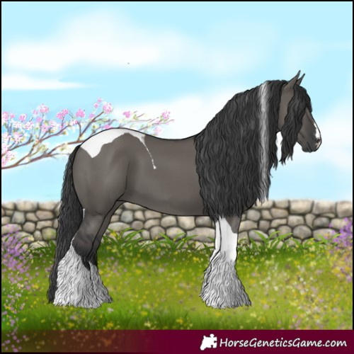 Horse Color:Grullo Tobiano 