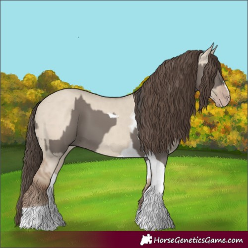 Horse Color:Grullo Tobiano and Classic Champagne Dun Tobiano