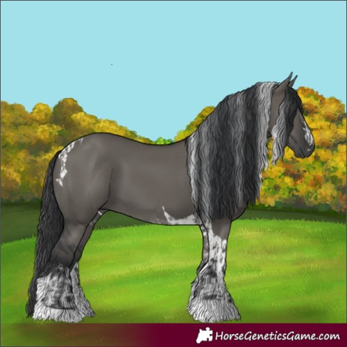 Horse Color:Grullo Tobiano  and Grullo Tobiano 