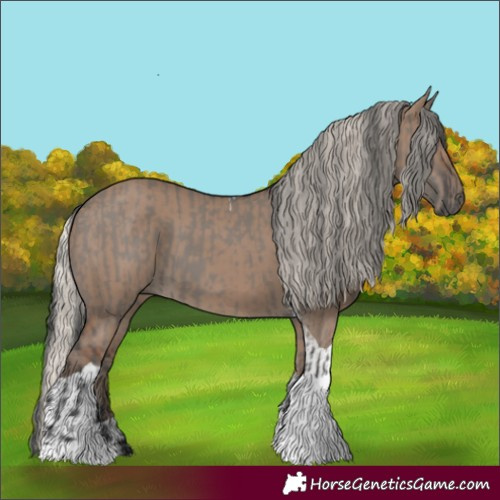 Horse Color:Grullo Tobiano  and Silver Grullo Tobiano 