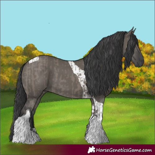 Horse Color:Grullo Tobiano and Grullo Tobiano