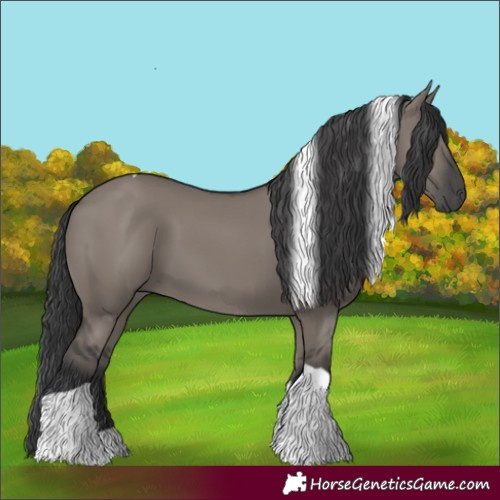 Horse Color:Grullo Tobiano 