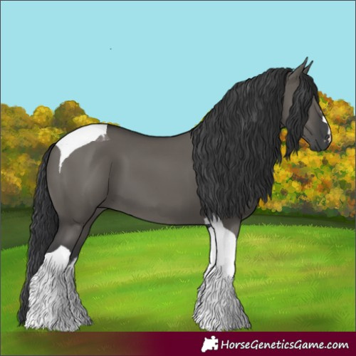 Horse Color:Grullo Tobiano 