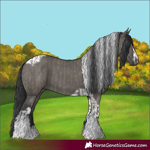 Horse Color:Grullo Tobiano and Grullo Tobiano Frame