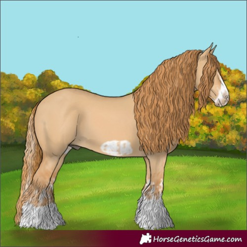 Horse Color:Red Dun Splash  and Red Dun Splash Frame 