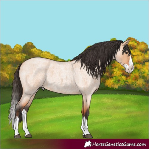 Horse Color:Bay Roan Dun Splash 