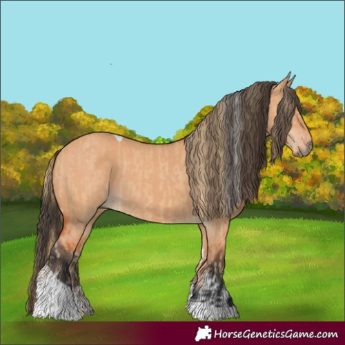 Horse Color:Red Dun Tobiano and Bay Dun Tobiano