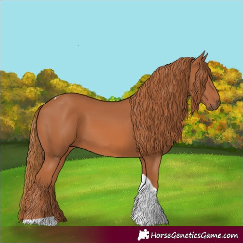 Horse Color:Chestnut Tobiano