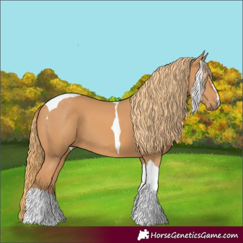 Horse Color:Chestnut Tobiano