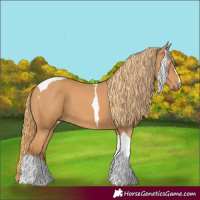 Horse Color:Chestnut Tobiano