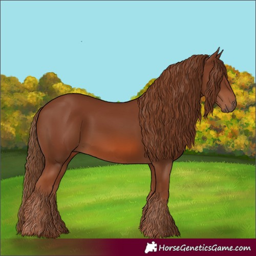 Horse Color:Chestnut 