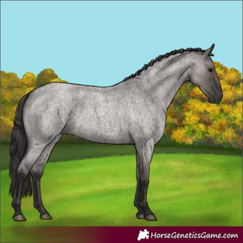 Horse Color:Smoky Grullo Roan 