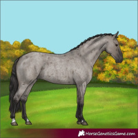 Horse Color:Smoky Grullo Roan  and Smoky Grullo Roan 