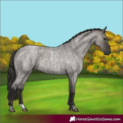Horse Color:Smoky Grullo Roan  and Smoky Grullo Roan 