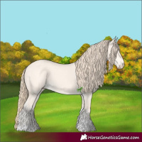 Horse Color:Perlino Dun Tobiano