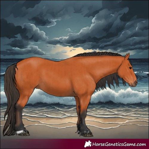 Horse Color:Bay  and Bay 