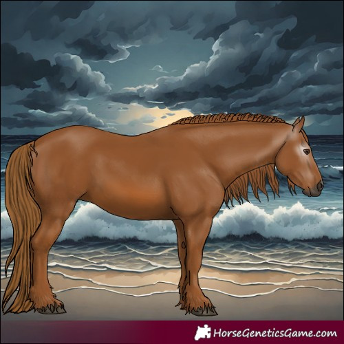 Horse Color:Gray Chestnut