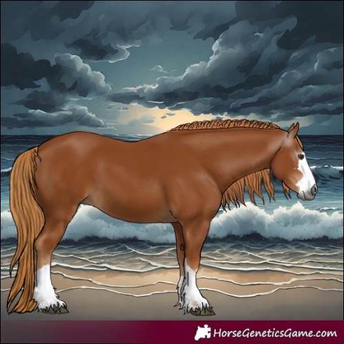 Horse Color:Gray Chestnut 