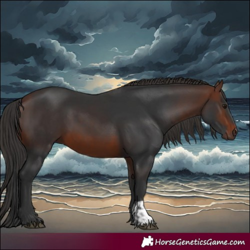 Horse Color:Brown  and Brown 