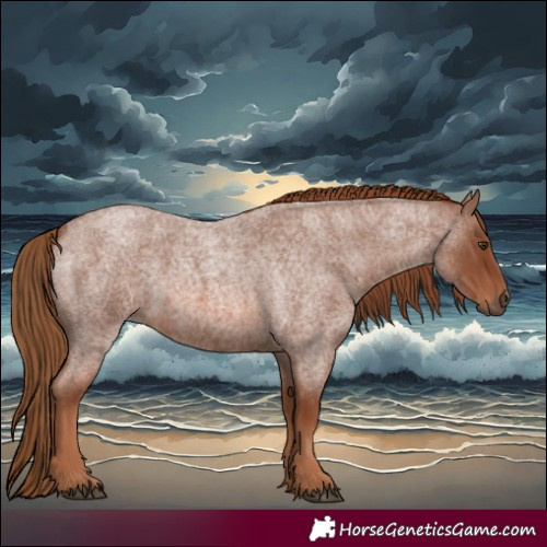Horse Color:Red Roan 