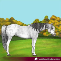 Horse Color:White Spotted Blue Roan Splash Frame Blanket 