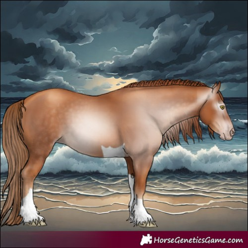Horse Color:Gray Gold Champagne Tobiano