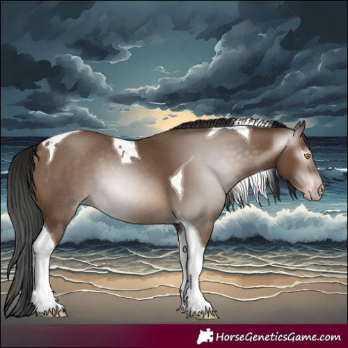 Horse Color:Gray Amber Champagne Tobiano
