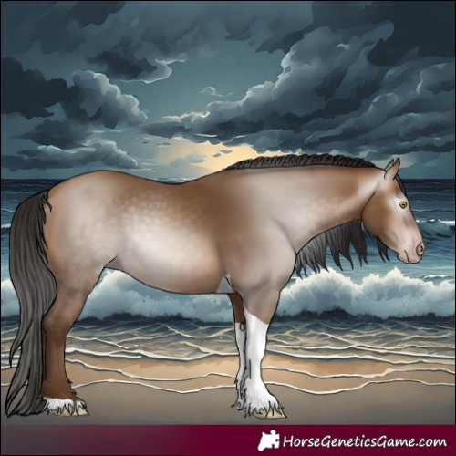 Horse Color:Gray Amber Champagne Tobiano