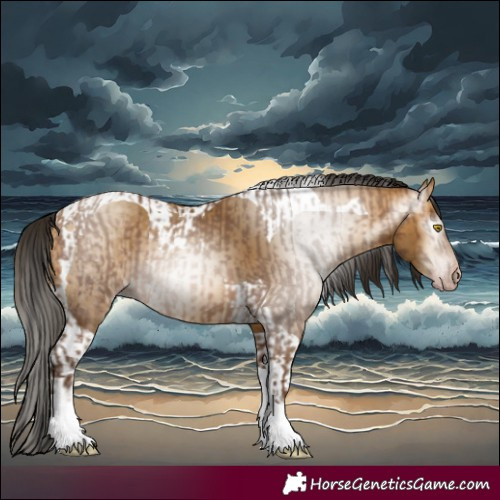 Horse Color:Gray Amber Champagne Tobiano  and Gray Amber Cream Champagne Tobiano 