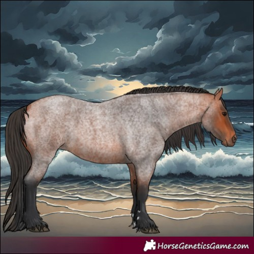 Horse Color:Bay Roan