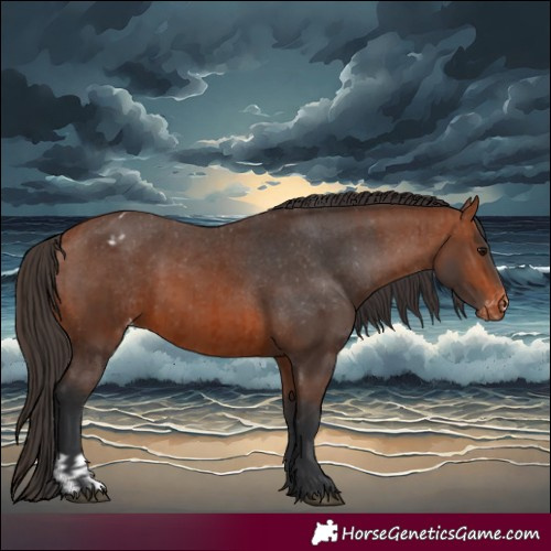 Horse Color:Bay Varnish and Bay Varnish