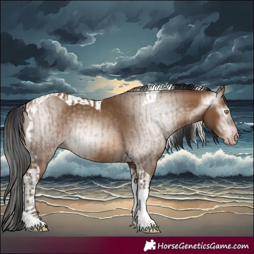 Horse Color:Gray Amber Champagne Tobiano and Gray Amber Champagne Tobiano