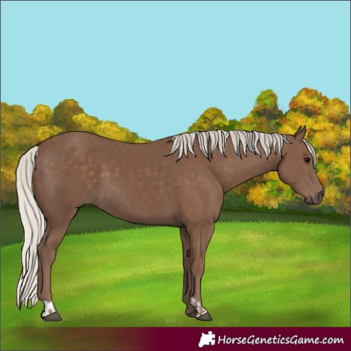Horse Color:Silver Black and Silver Black