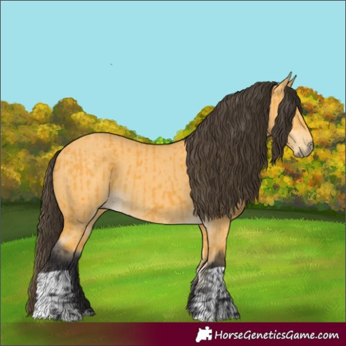 Horse Color:Buckskin  and Buckskin Dun 