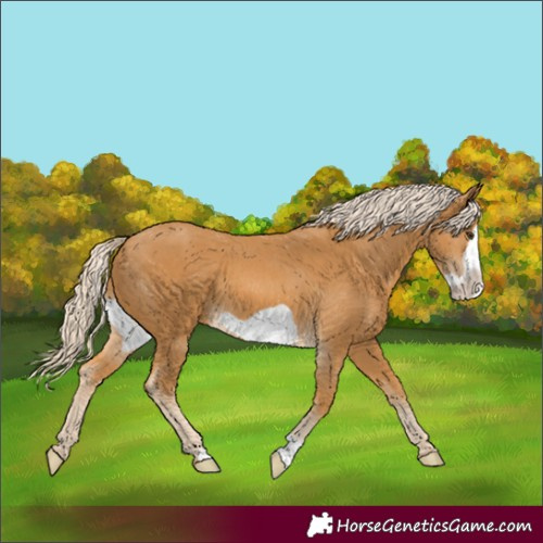 Horse Color:Palomino Frame