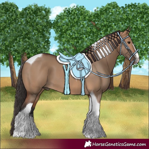Horse Color:Bay Dun Tobiano 