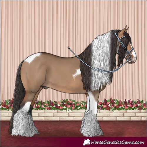 Horse Color:Bay Dun Tobiano