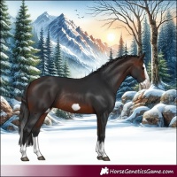 Horse Color:Brown Splash Frame Rabicano