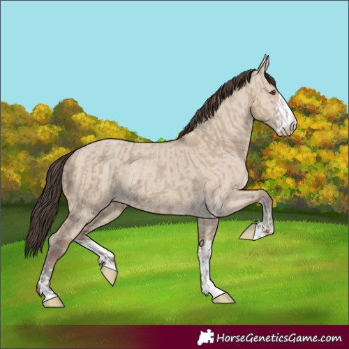 Horse Color:Classic Champagne Dun and Classic Champagne Dun