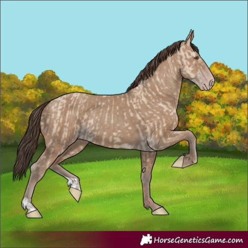 Horse Color:Classic Champagne Dun  and Classic Champagne 