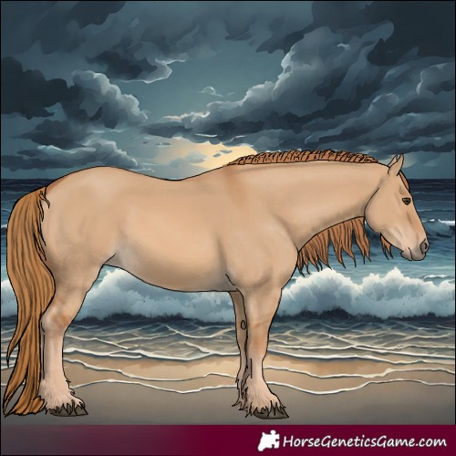 Horse Color:Red Dun 
