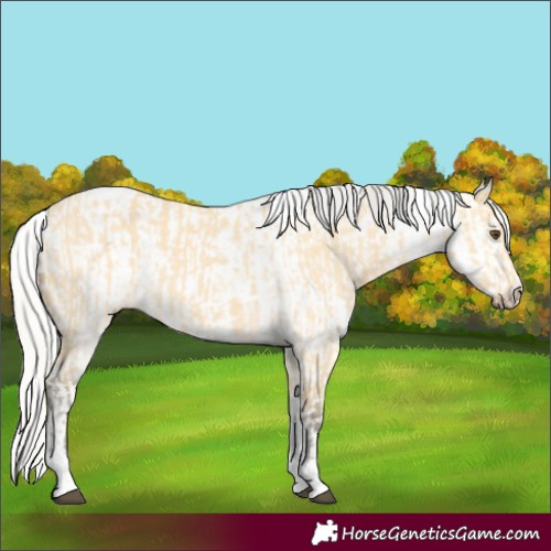 Horse Color:Silver Buckskin Dun Tobiano  and Silver Buckskin Dun Tobiano Leopard 