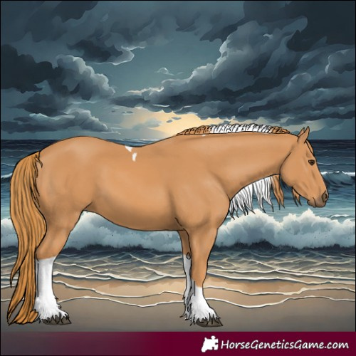 Horse Color:Chestnut Tobiano 